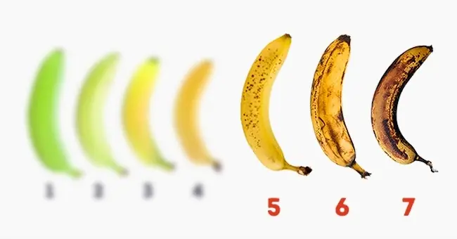 platanos