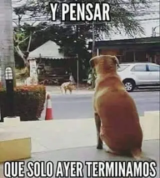 +10 si te reís con alguna, sino denunciame