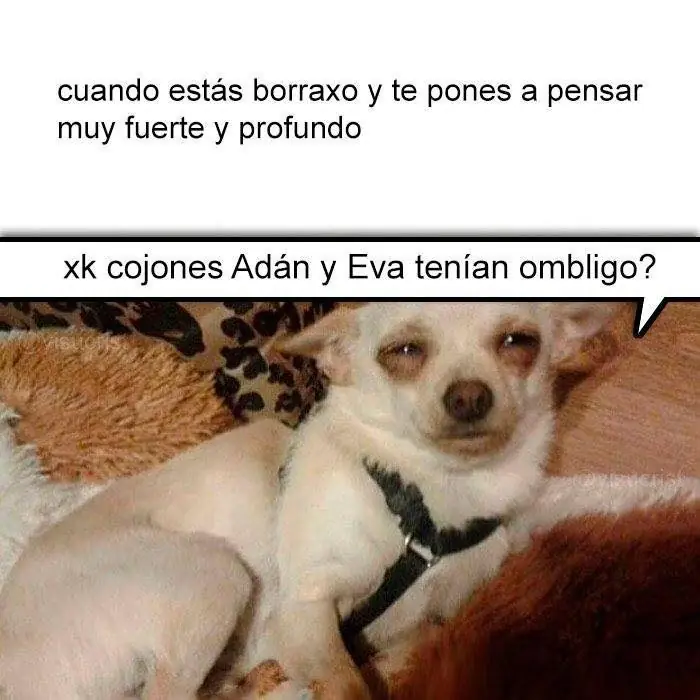 mirate