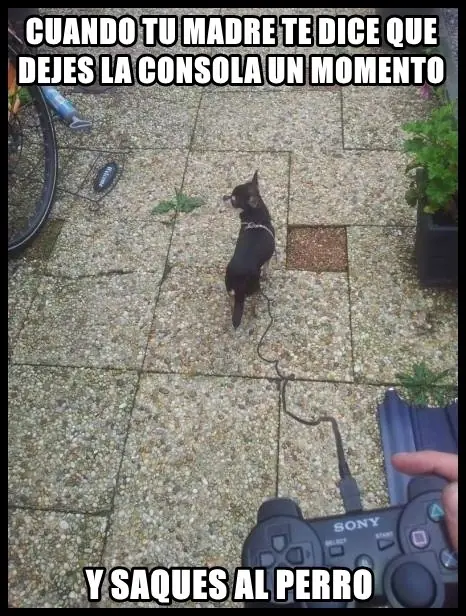 denunciado y bloqueado