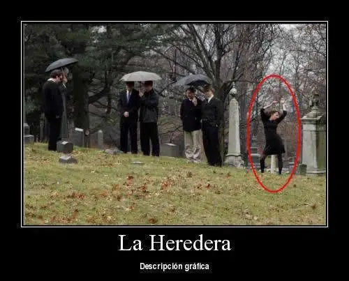 imagenes