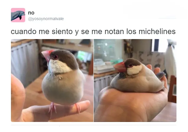 Pero mirate estas imagenes de Humor Papa
