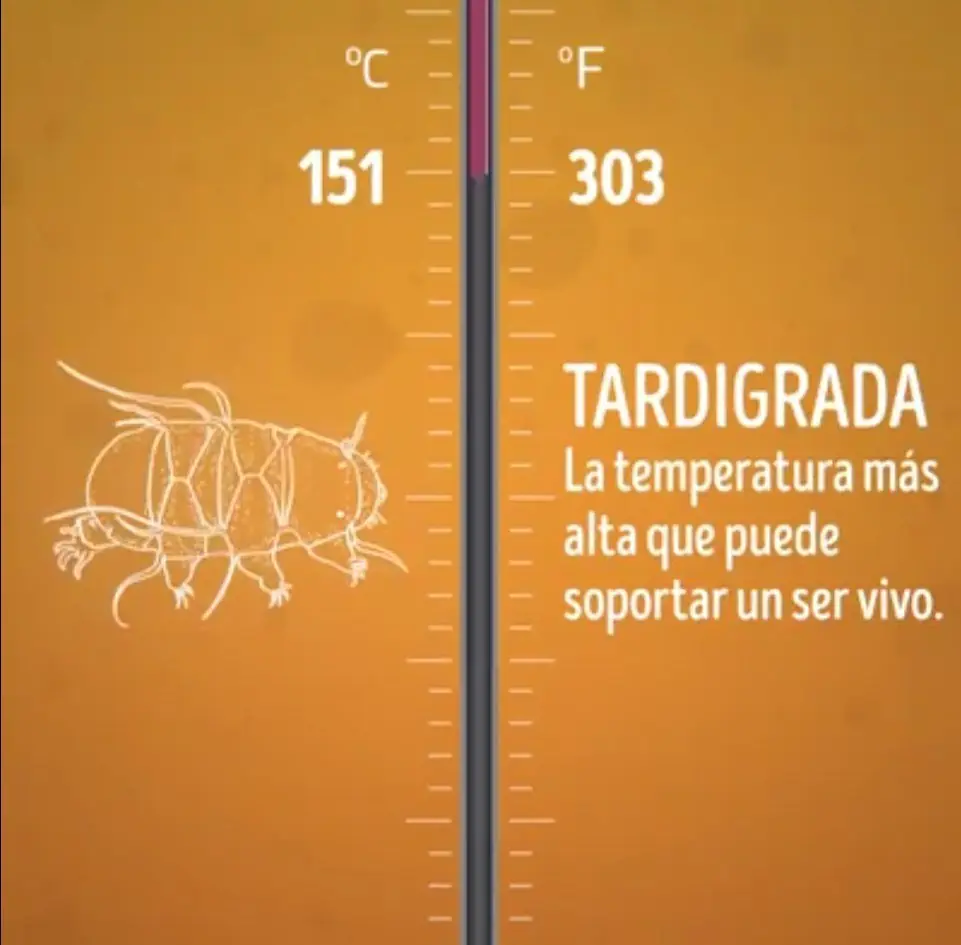 centigrados