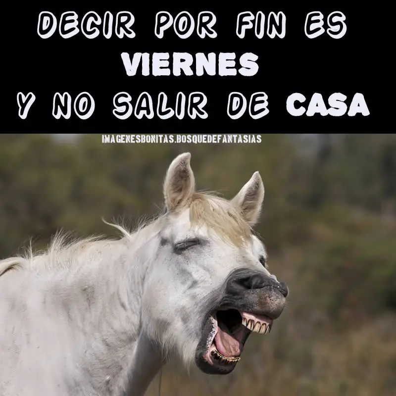 mas diez