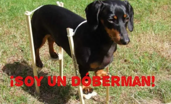 denunciado y bloqueado