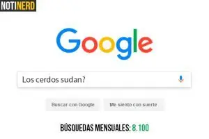 preguntas google