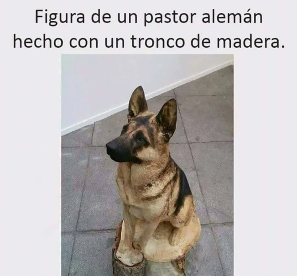 estas