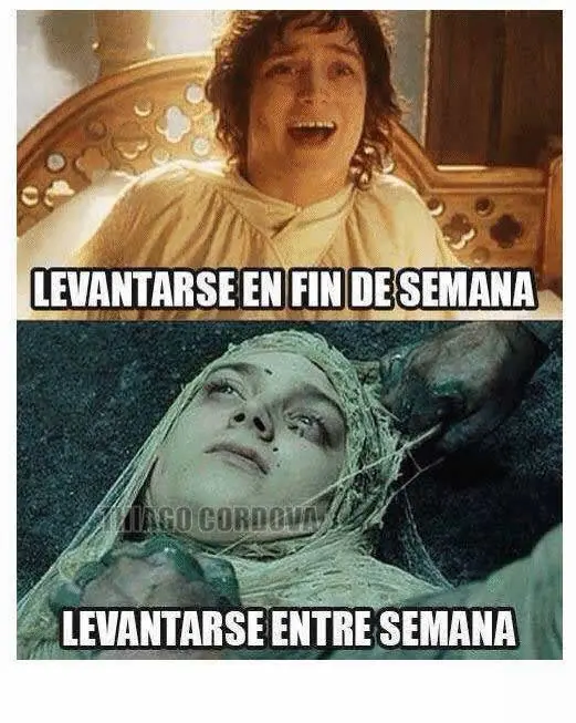 sino denuncia