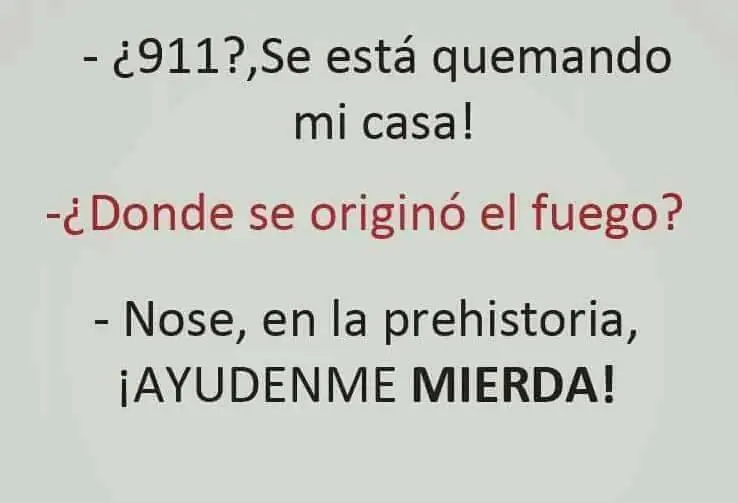 Pero mirate estas imagenes de humor papa