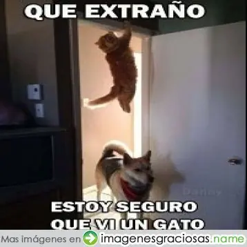 sino denuncia