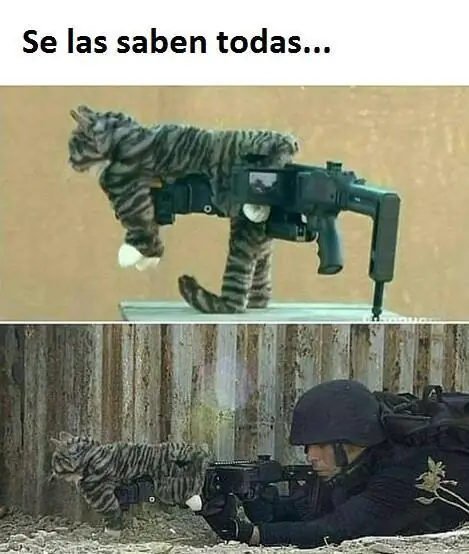 Pero mirate estas imagenes de Humor Papa