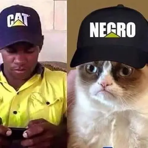 mas diez