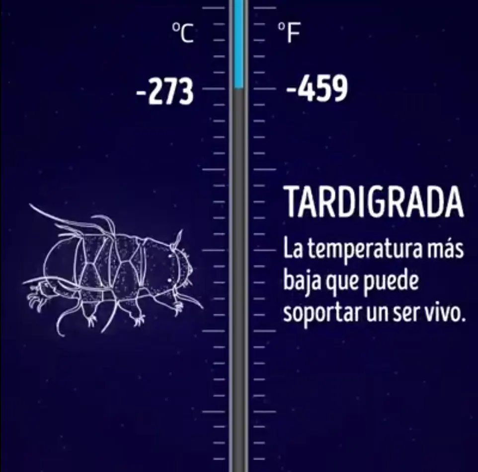 centigrados