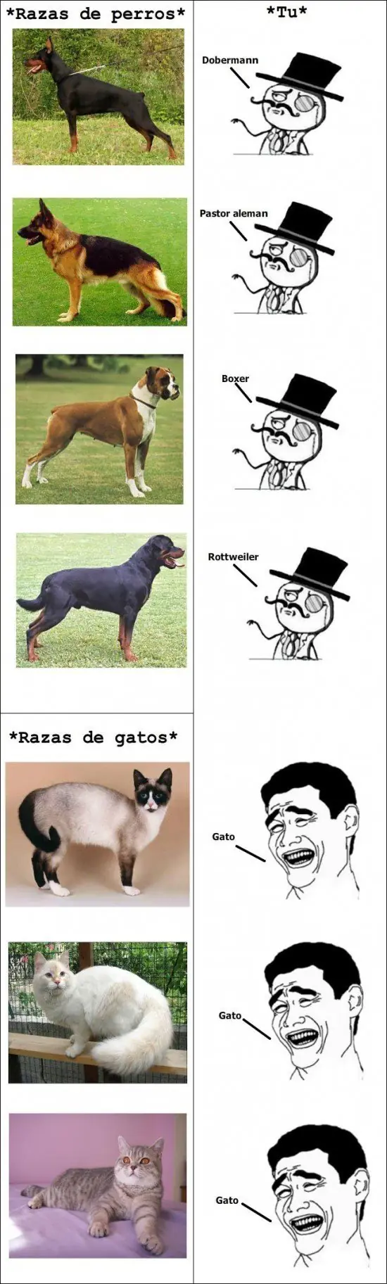 humor
