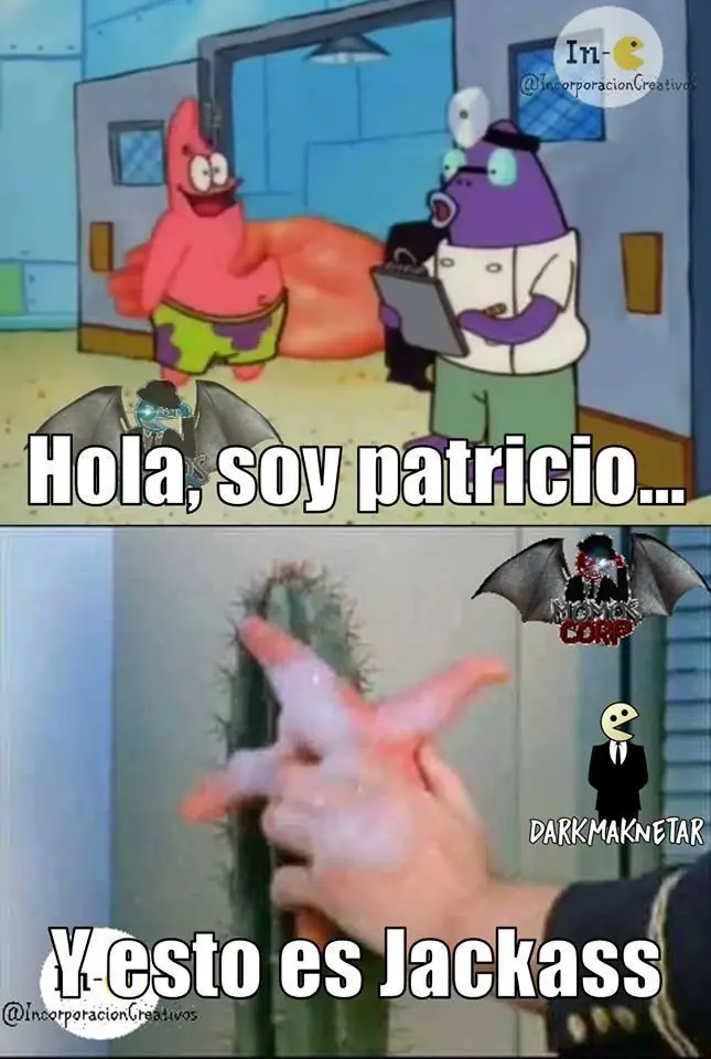 humor memes