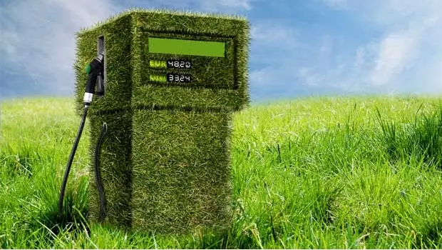 Científicos mexicanos ya utilizan bioetanol en sus vehículos