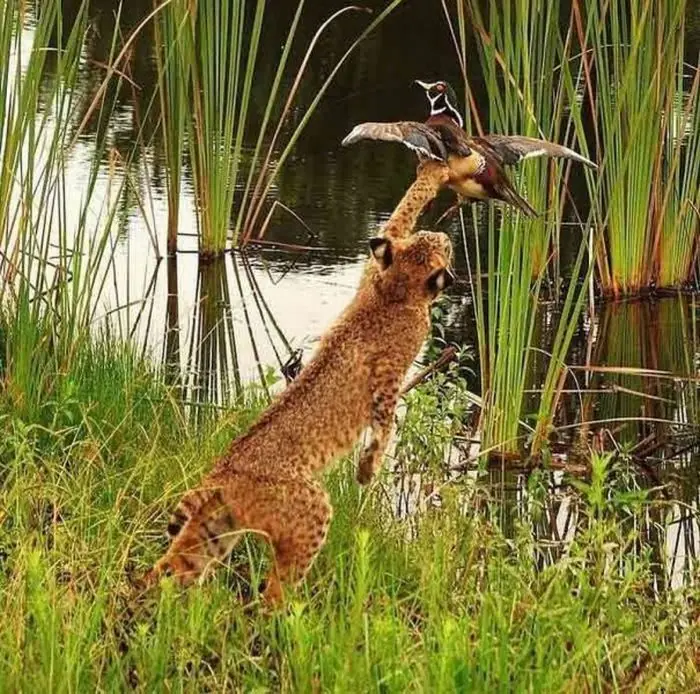 algo de humor y WTF !