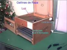 Incubadora