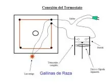 Como hacer tu propia incubadora de aves