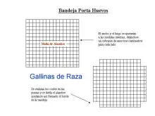 Como hacer tu propia incubadora de aves