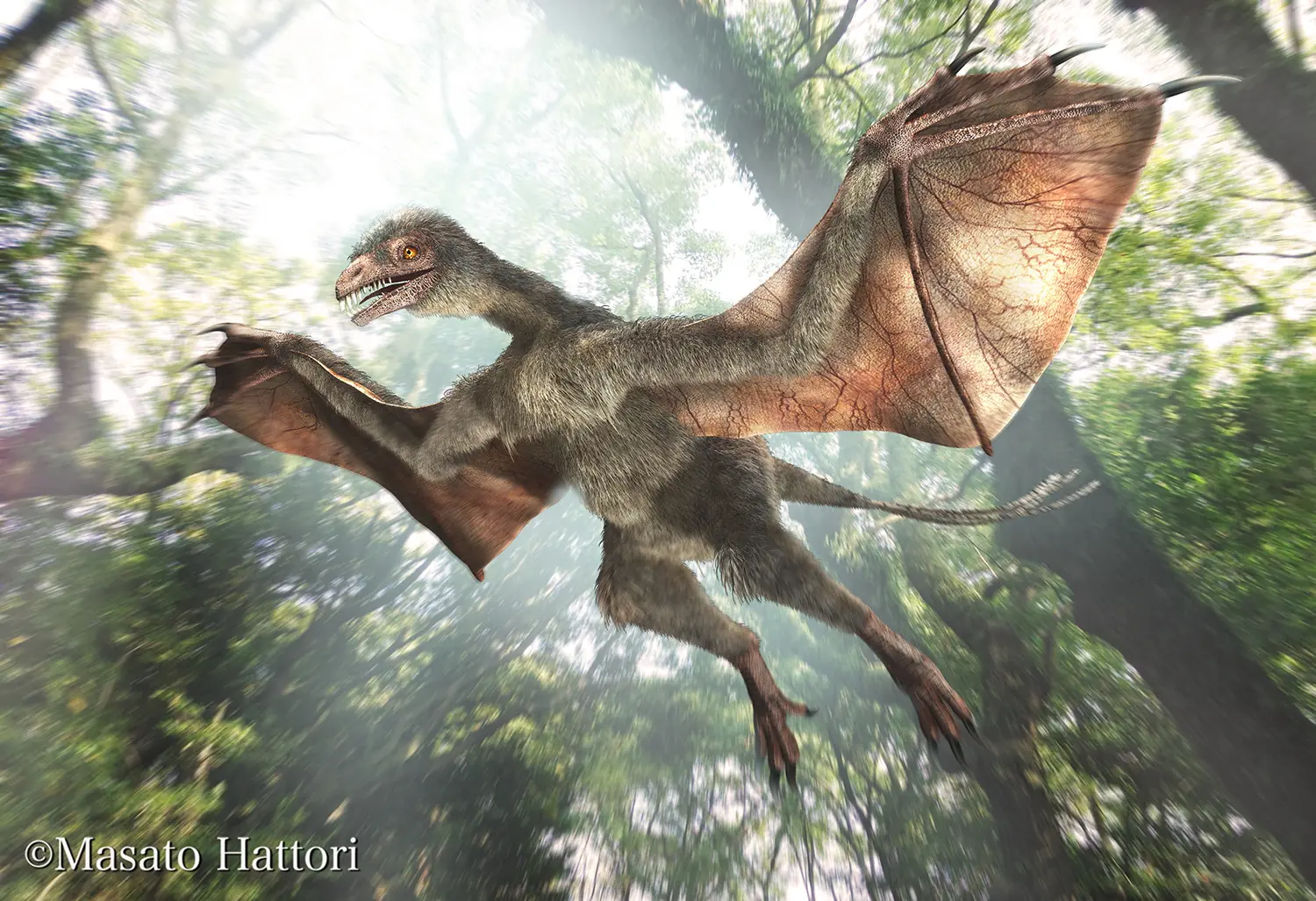 sinosauropteryx