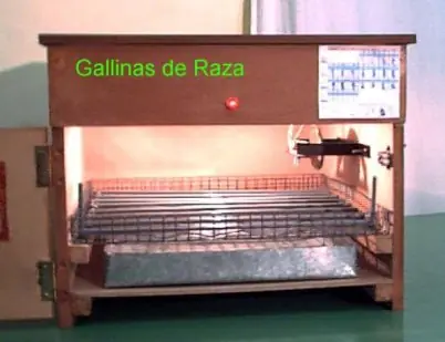 Como hacer tu propia incubadora de aves