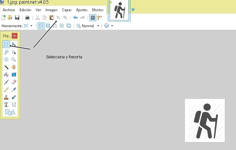 descargar iconos gratis