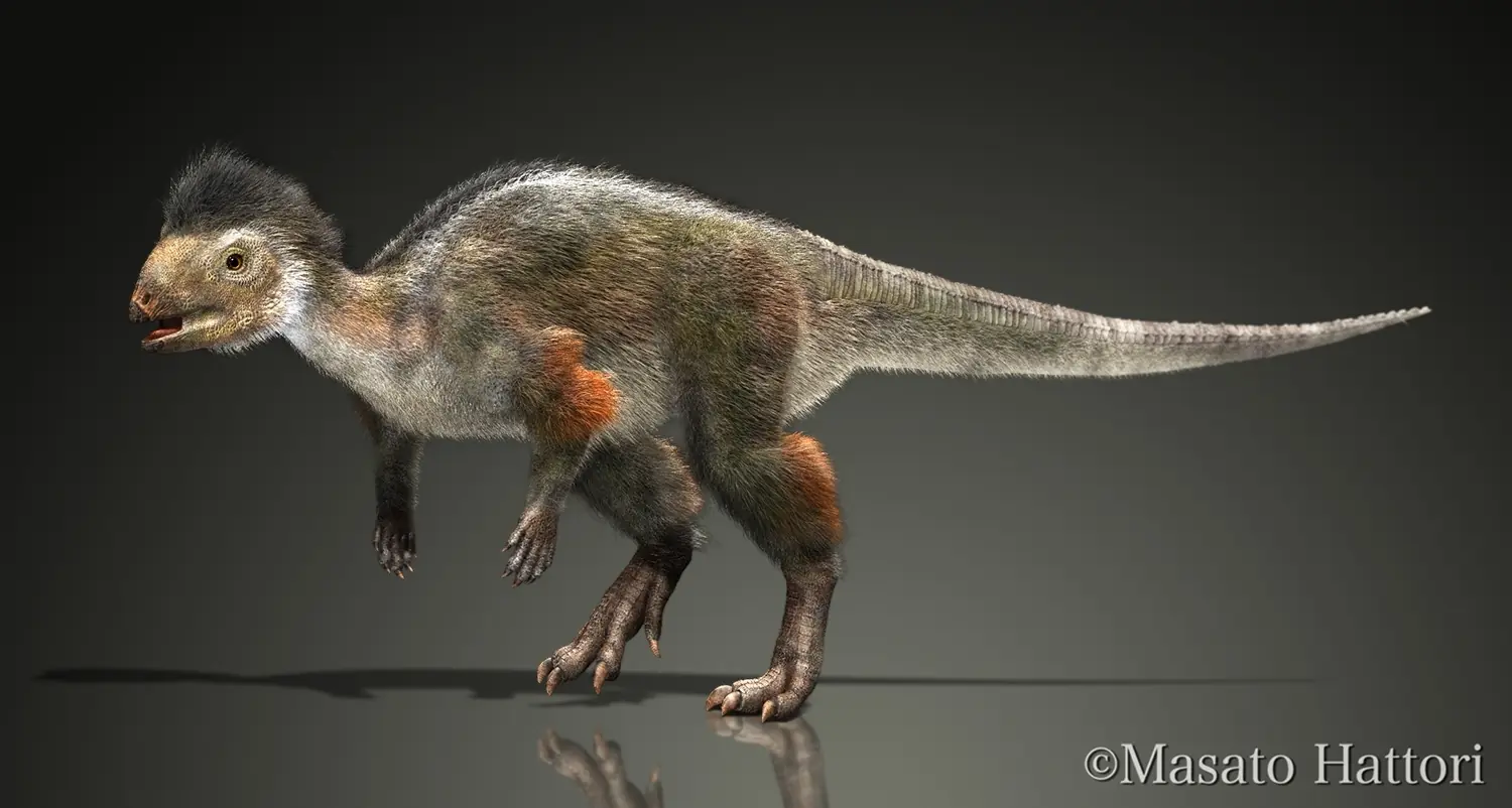 archaeopteryx