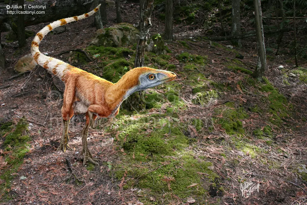 Veinte años de dinosaurios con plumas [megapost]