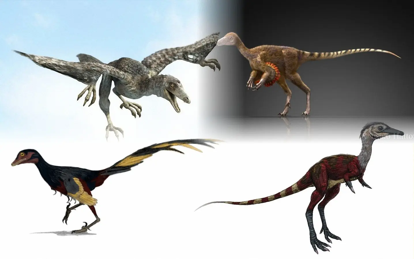 yi qi dinosaurio