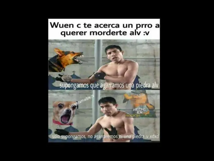 meme