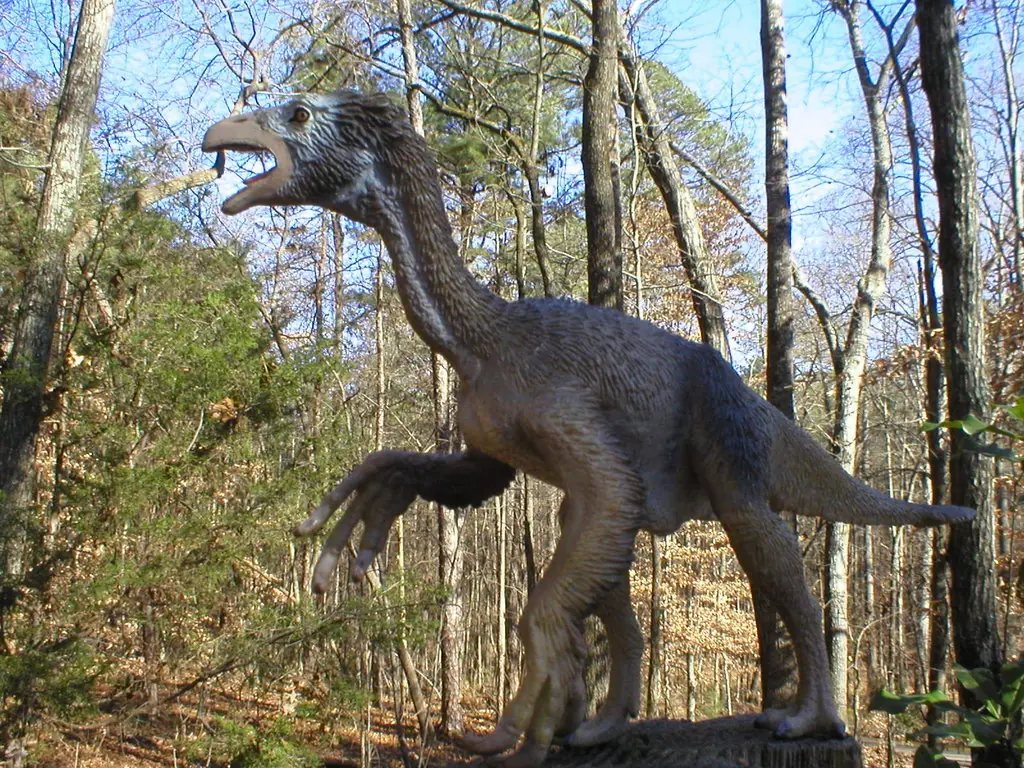 archaeopteryx