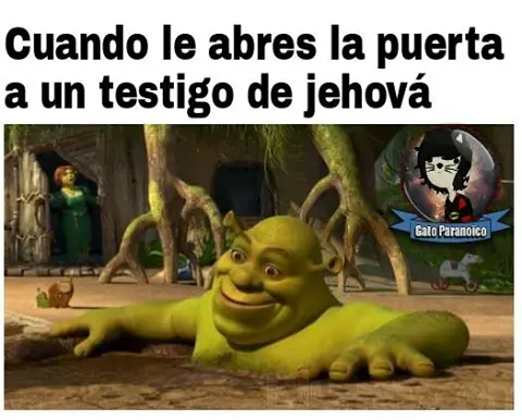 humor memes