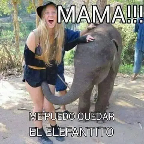 imagenes