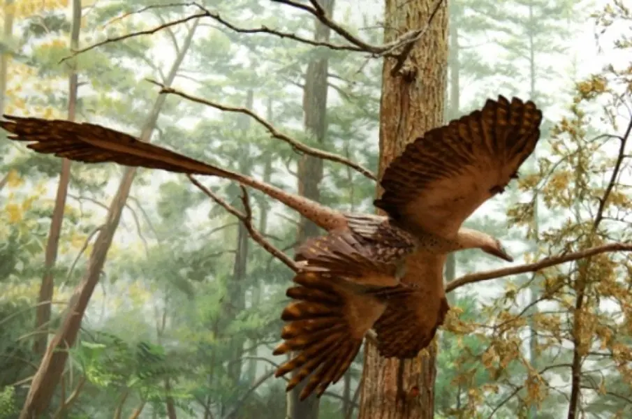 sinosauropteryx