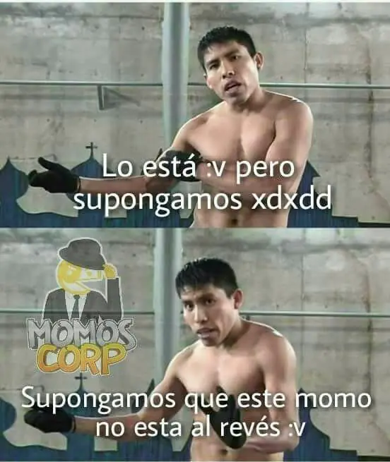 Furor: Meme "supongamos" arrasa en redes