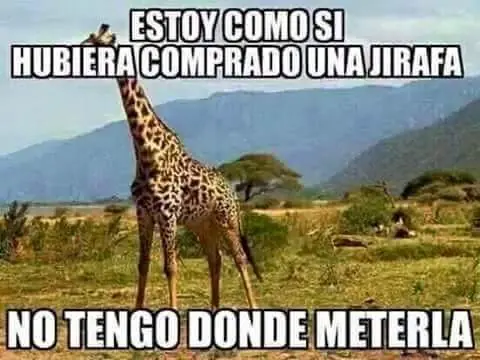 sino