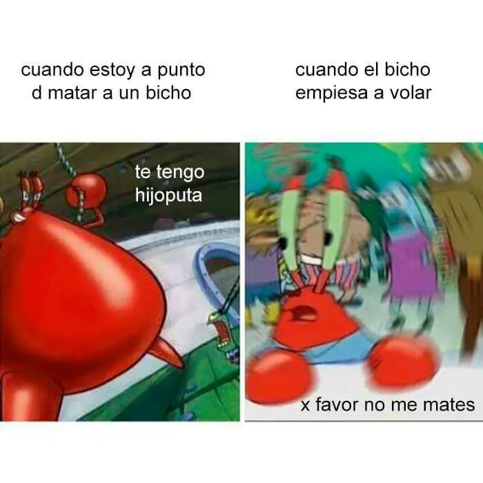 Risa