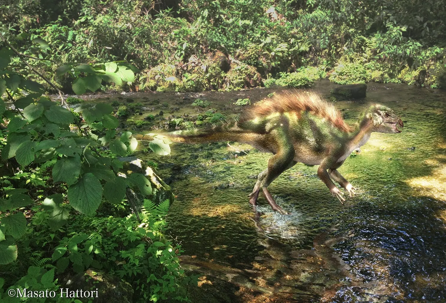 sinosauropteryx