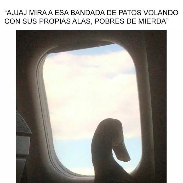 imagenes