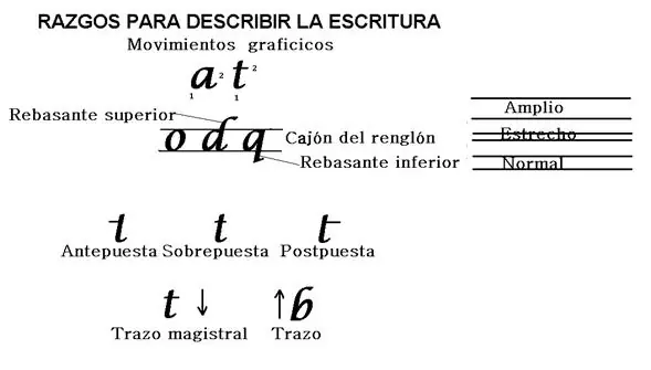 Criminalistica