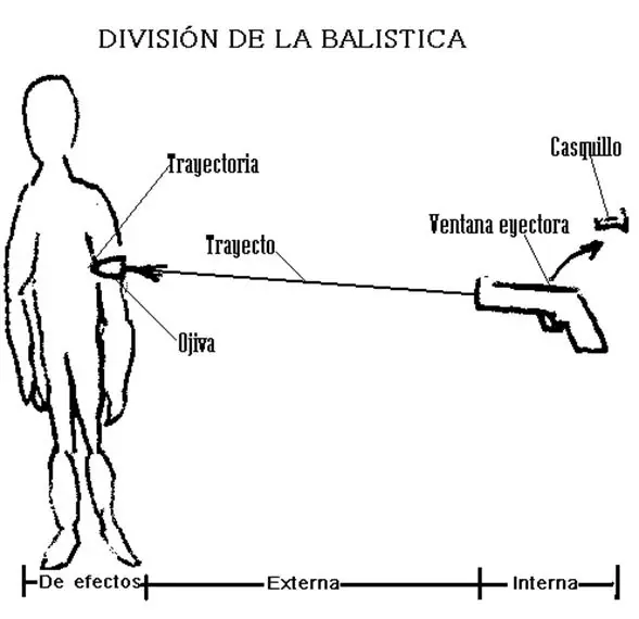 ciencia