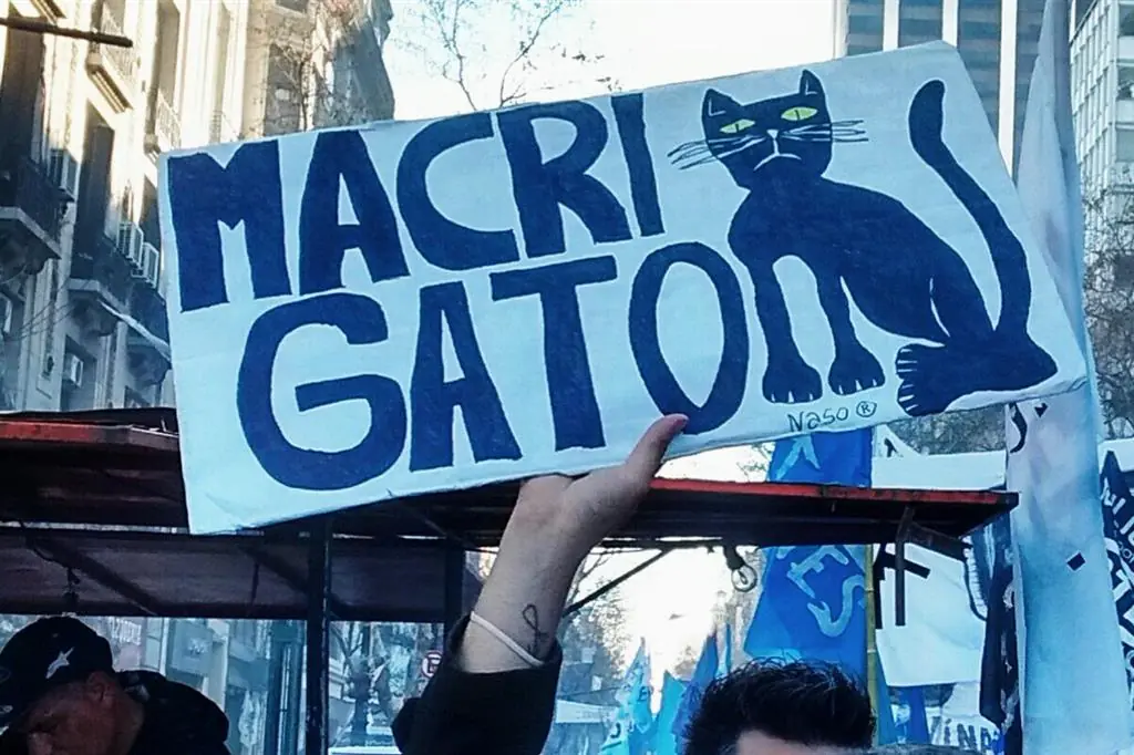 Macri Gato: La verdad detras del mito