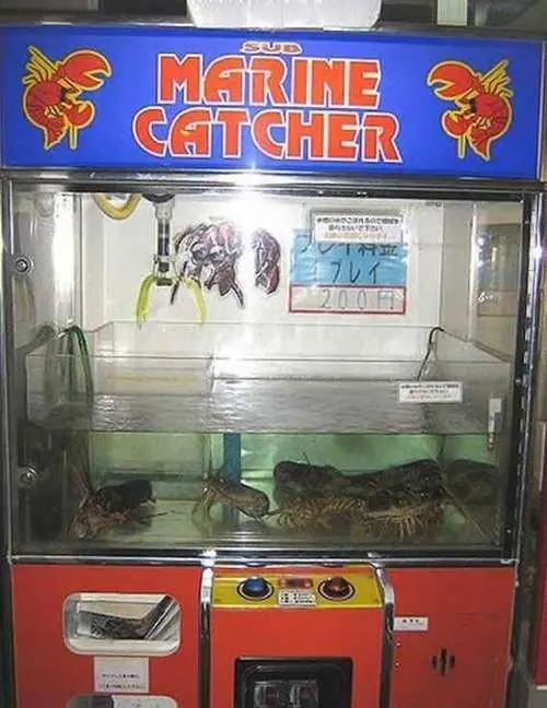 graciosos