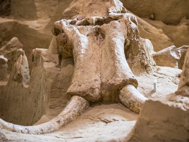 10 misterios científicos que no tienen explicación.