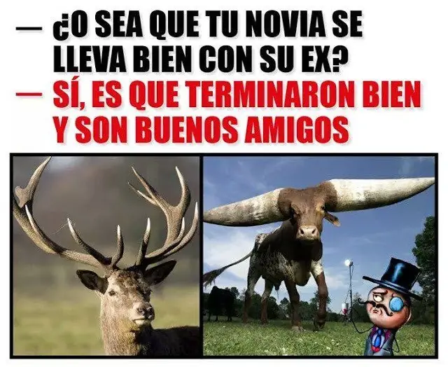 humor taringa