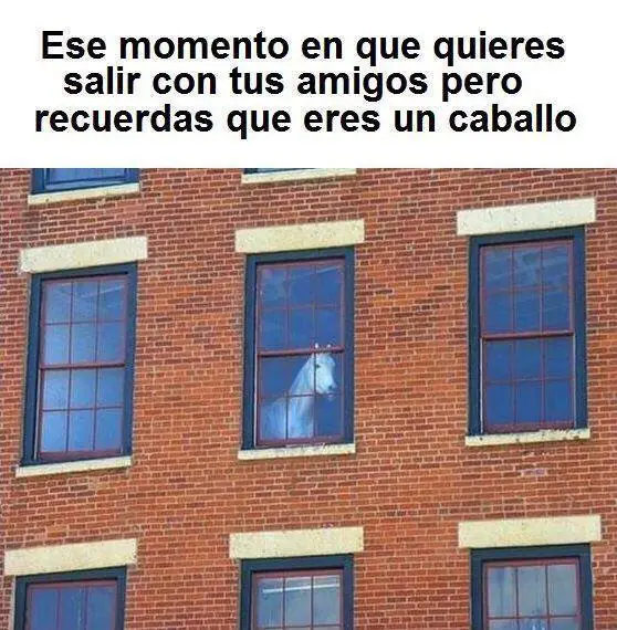 humor de viernes