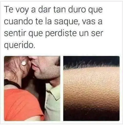 humor taringa
