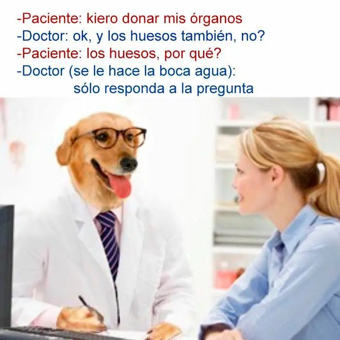 imagenes divertidas