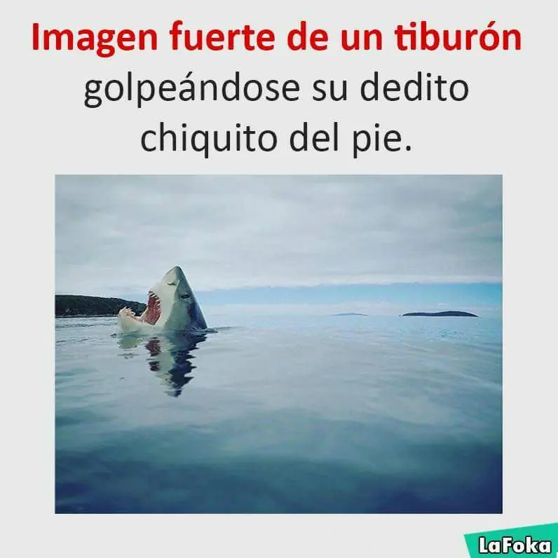 humor random